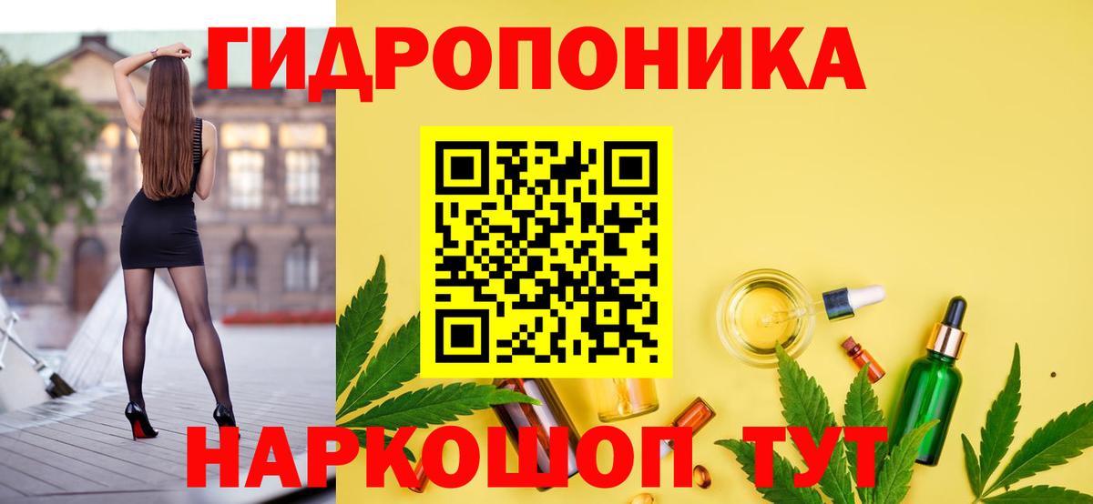 Конопля гибрид Алексеевка